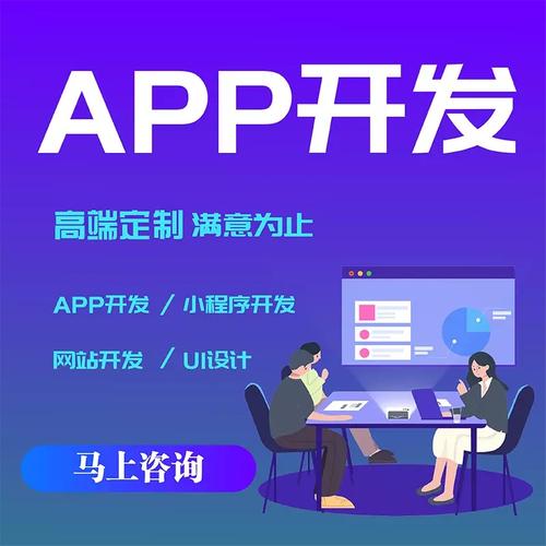 app定制開發(fā)軟件制作商城直播社交淘客教育ios安卓定制小程序開發(fā)
