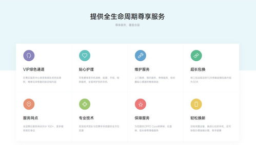 定制可選項超過60個,oppo企業業務商城重磅上線