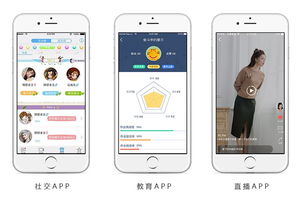 小程序商城公眾號平臺手機app開發(fā)定制設計一條龍服務