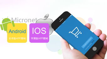 定制版app軟件開發公司 app開發解決方案