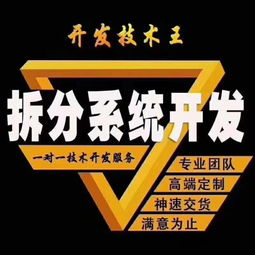 系統(tǒng)開發(fā)雙軌太陽線三三復制兩兩復制專業(yè)定制