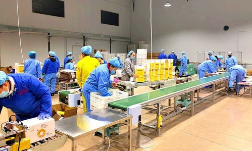 安圖經濟開發區醫藥食品產業園一季度實現 開門紅