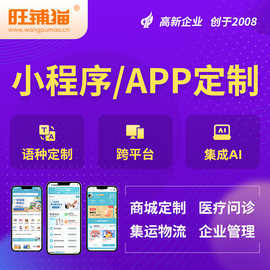 手機軟件定制開發