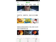 網站建設 app開發,網頁設計,服務器租用托管 第29頁 網上114
