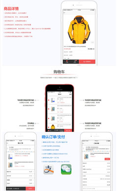 【電商網站建設】B2C購物商城平臺定制開發設計ICP備案手機