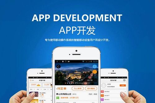 電商app定制開發(fā)哪家公司好