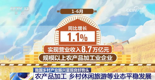 新業態 新發展 新圖景 我國鄉村產業振興成果看得見