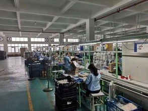 蘇寧 造星 500家工廠 100億銷售額
